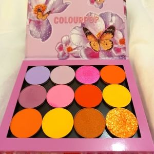 Colorfull colorpop magnetic pallete with individual eyeshadow.